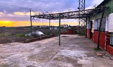 Finca rústica – Villanueva del Ariscal