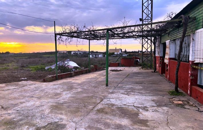 Finca rústica – Villanueva del Ariscal