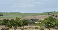 FINCA RUSTICA en venta en LEBRIJA