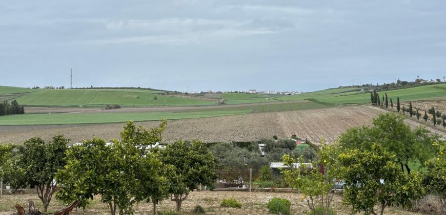 FINCA RUSTICA en venta en LEBRIJA