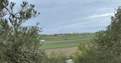 FINCA RUSTICA en venta en LEBRIJA