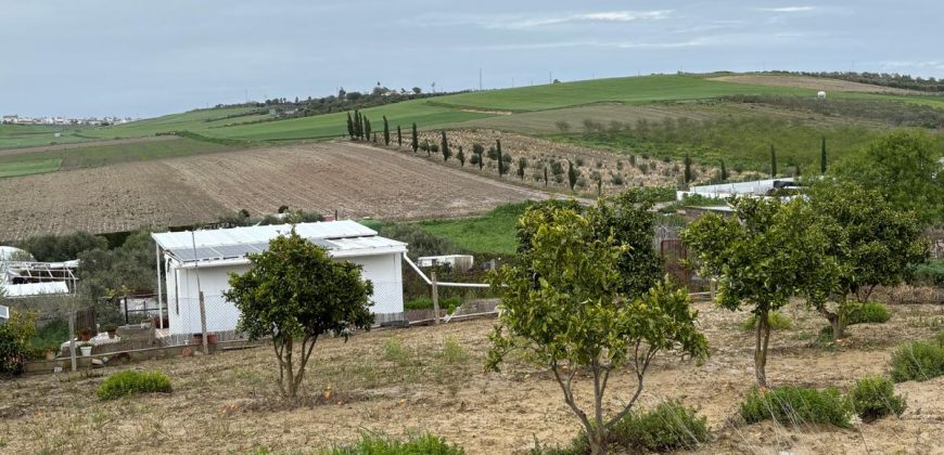 FINCA RUSTICA en venta en LEBRIJA