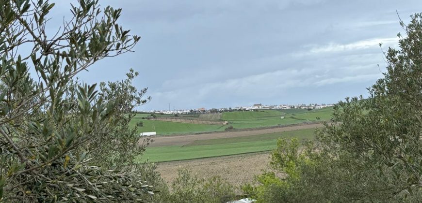 FINCA RUSTICA en venta en LEBRIJA