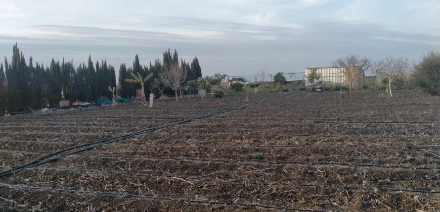PARCELA EN ROTA