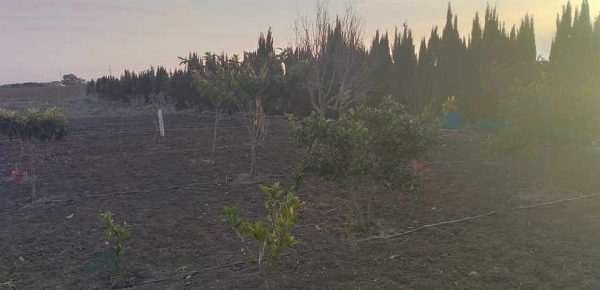 PARCELA EN ROTA