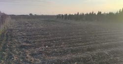 PARCELA EN ROTA