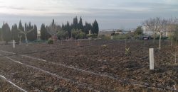 PARCELA EN ROTA