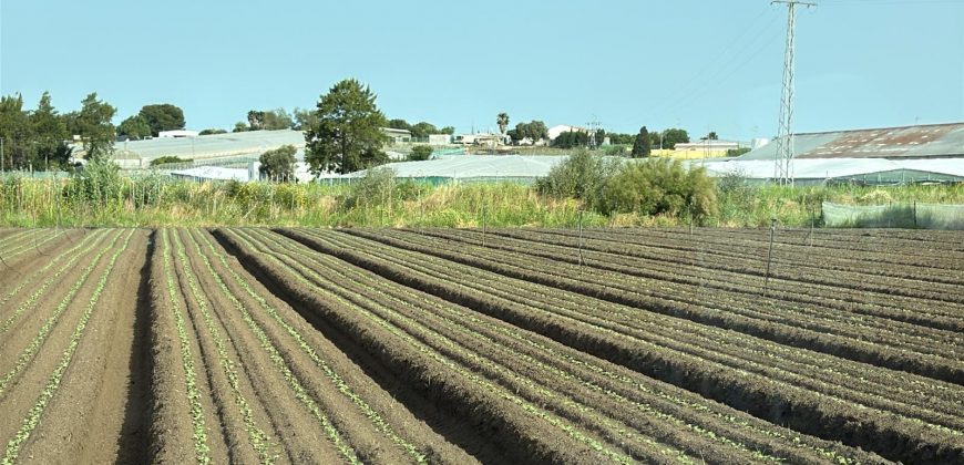 PARCELA EN CARRETERA DE CHIPIONA