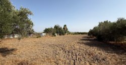 Casa rústica con terreno en venta en Lebrija