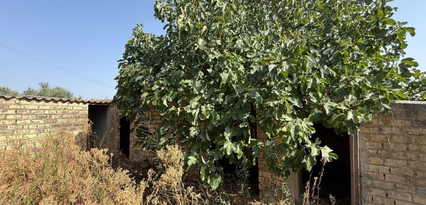 Casa rústica con terreno en venta en Lebrija