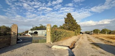 Finca rústica en venta – Zona Los Naranjos, Lebrija