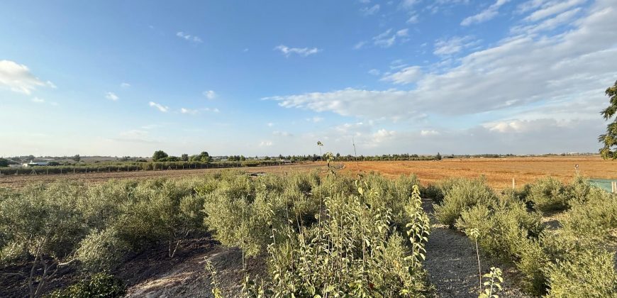 Finca rústica en venta – Zona Los Naranjos, Lebrija