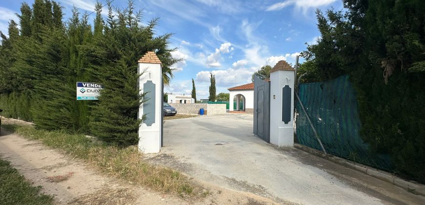 CAMPO CERCA DEL MONJE