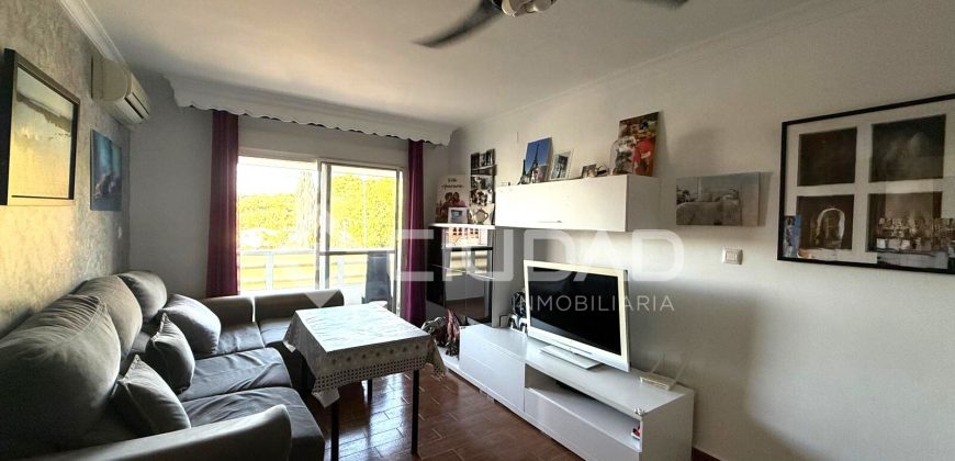 Piso de 3 habitaciones en El Pino – Plaza de Toros