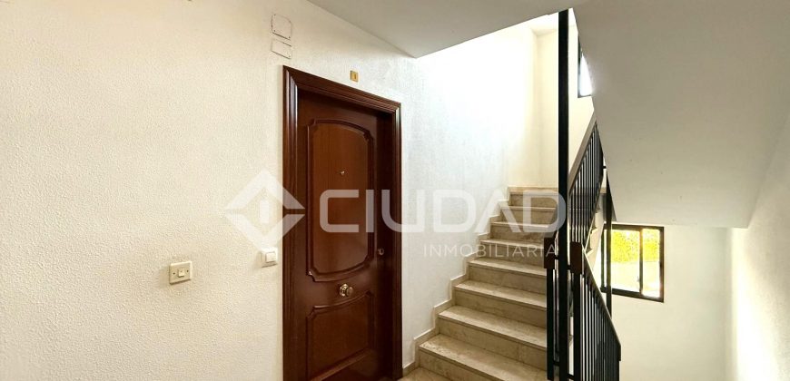 Piso de 3 habitaciones en El Pino – Plaza de Toros