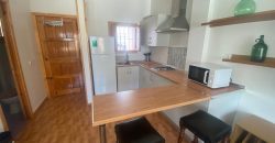 ESTUDIO RECIEN REFORMADO EN ZONA ALAMEDA.-
