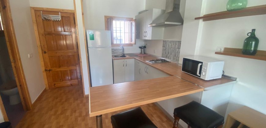 ESTUDIO RECIEN REFORMADO EN ZONA ALAMEDA.-