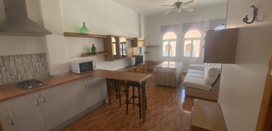 ESTUDIO RECIEN REFORMADO EN ZONA ALAMEDA.-
