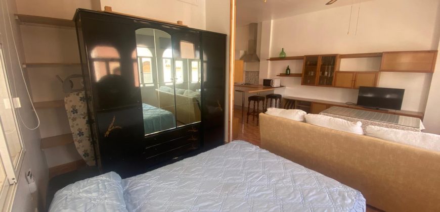 ESTUDIO RECIEN REFORMADO EN ZONA ALAMEDA.-