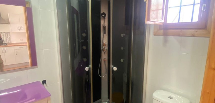 ESTUDIO RECIEN REFORMADO EN ZONA ALAMEDA.-