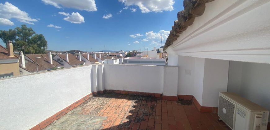 ESTUDIO RECIEN REFORMADO EN ZONA ALAMEDA.-