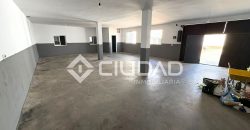 Casa + nave + apartamento independiente en Av. Al-Ándalus