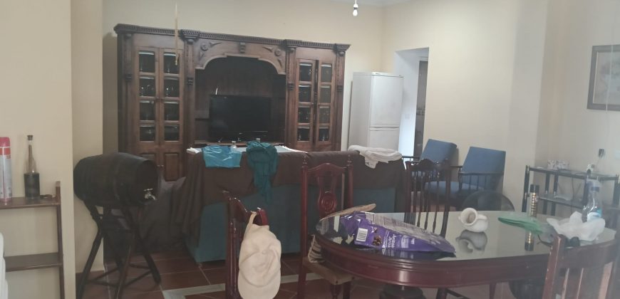 IMPRESIONANTE FINCA SITUADA EN EL POBLADO DE EL ALGARABEJO.- CTRA. MORON – PRUNA