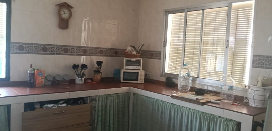 IMPRESIONANTE FINCA SITUADA EN EL POBLADO DE EL ALGARABEJO.- CTRA. MORON – PRUNA