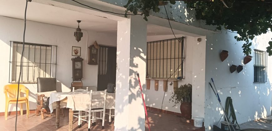 IMPRESIONANTE FINCA SITUADA EN EL POBLADO DE EL ALGARABEJO.- CTRA. MORON – PRUNA