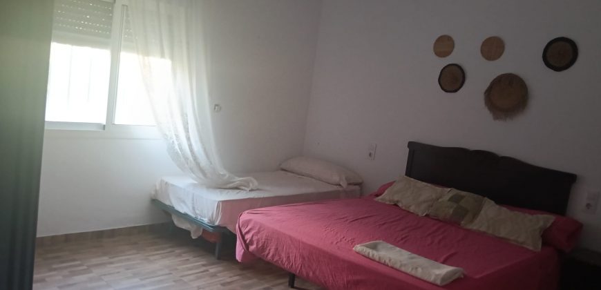 IMPRESIONANTE FINCA SITUADA EN EL POBLADO DE EL ALGARABEJO.- CTRA. MORON – PRUNA