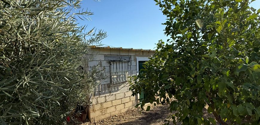 MAGNIFICA FINCA EN VENTA.- POBLADO EL ALGARABEJO.- MORON DE LA FRA.