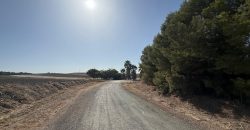 Terreno rústico en venta – Zona Balsa Melendo, Lebrija