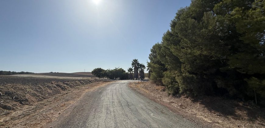 Terreno rústico en venta – Zona Balsa Melendo, Lebrija