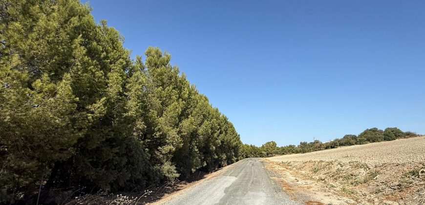Terreno rústico en venta – Zona Balsa Melendo, Lebrija