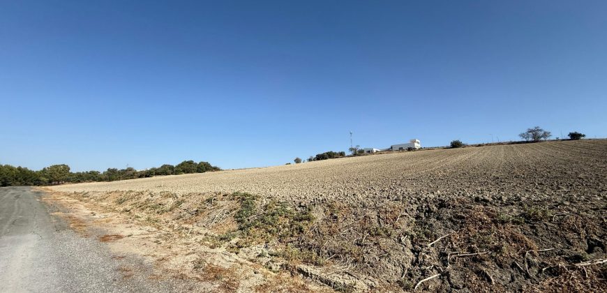 Terreno rústico en venta – Zona Balsa Melendo, Lebrija
