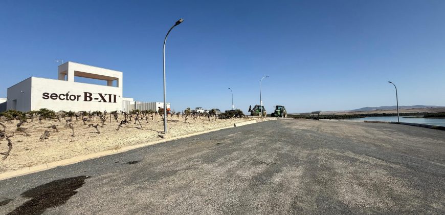 Terreno rústico en venta – Zona Balsa Melendo, Lebrija