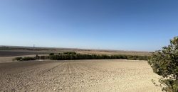 Terreno rústico en venta – Zona Balsa Melendo, Lebrija