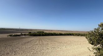 Terreno rústico en venta – Zona Balsa Melendo, Lebrija