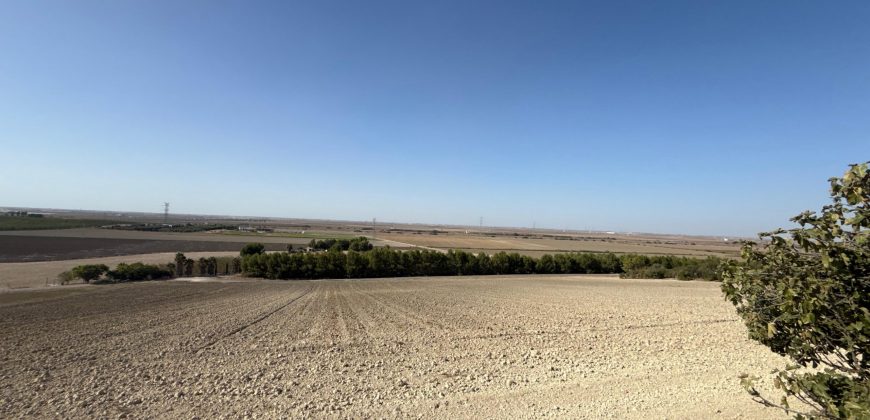 Terreno rústico en venta – Zona Balsa Melendo, Lebrija