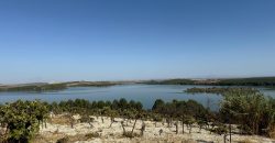 Terreno rústico en venta – Zona Balsa Melendo, Lebrija