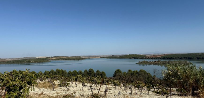 Terreno rústico en venta – Zona Balsa Melendo, Lebrija