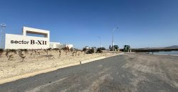 Terreno rústico en venta – Zona Balsa Melendo, Lebrija