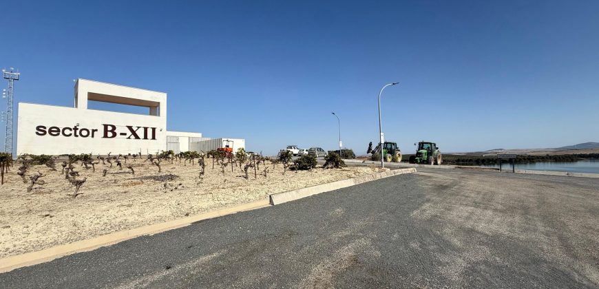 Terreno rústico en venta – Zona Balsa Melendo, Lebrija