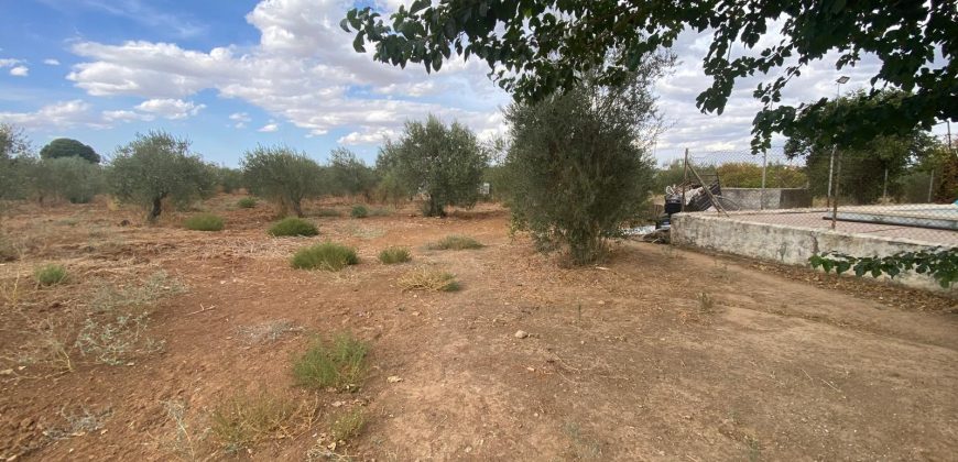 OPORTUNIDAD DE CHALET EN LA VENTA EL RITMO.- CTRA. MORON – MARCHENA!