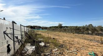 PARCELA RÚSTICA- CHIPIONA