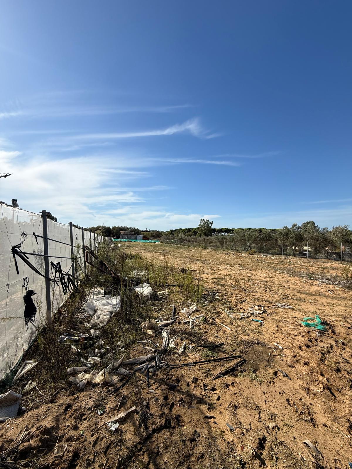 PARCELA RÚSTICA- CHIPIONA