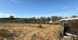 PARCELA RÚSTICA- CHIPIONA