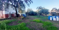 Finca rústica – Castiblanco de los Arroyos