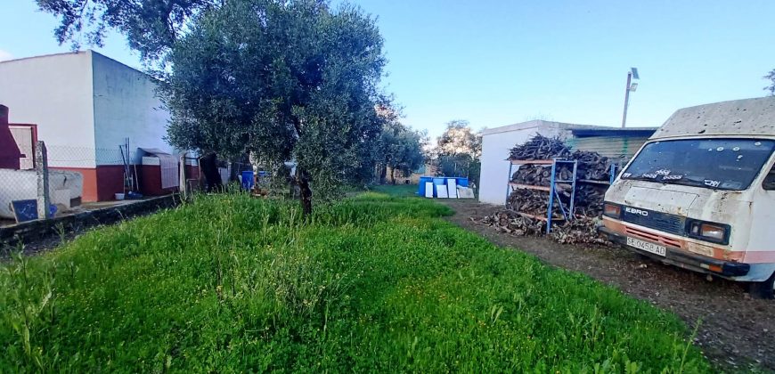 Finca rústica – Castiblanco de los Arroyos