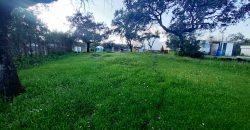 Finca rústica – Castiblanco de los Arroyos